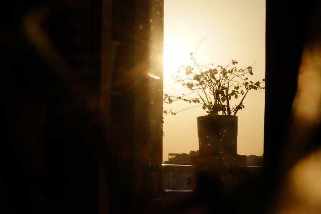 잠을 자도 피곤한 날의 생활 패턴