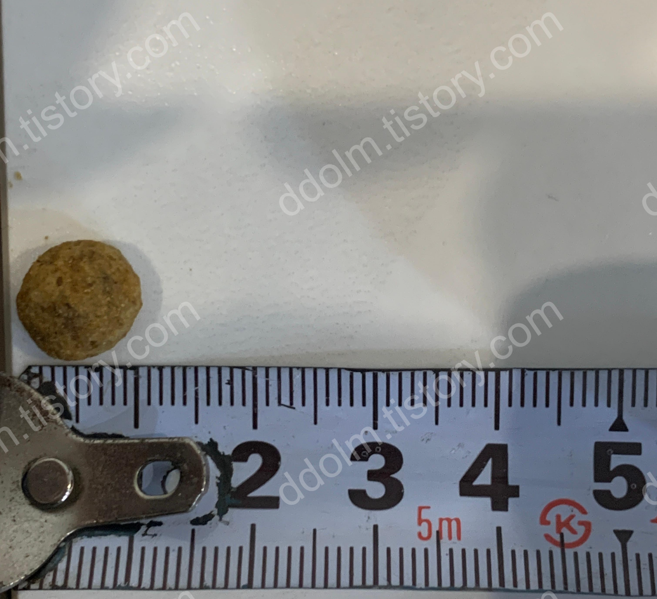 강아지 신부전 사료 비교