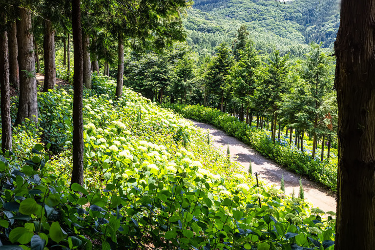 도시 농업을 위한 스마트 기술 투자와 정부 지원 정책 분석