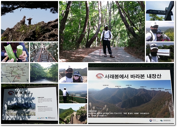 내장산 최단코스 내장산탐방지원센터 내장사 까치봉 내장산 신선봉 정상 등산코스
