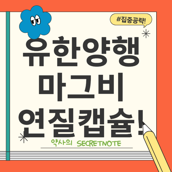 마그비연질