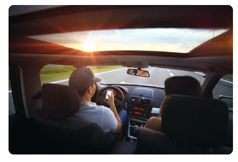 장기렌트카 번호판 차이