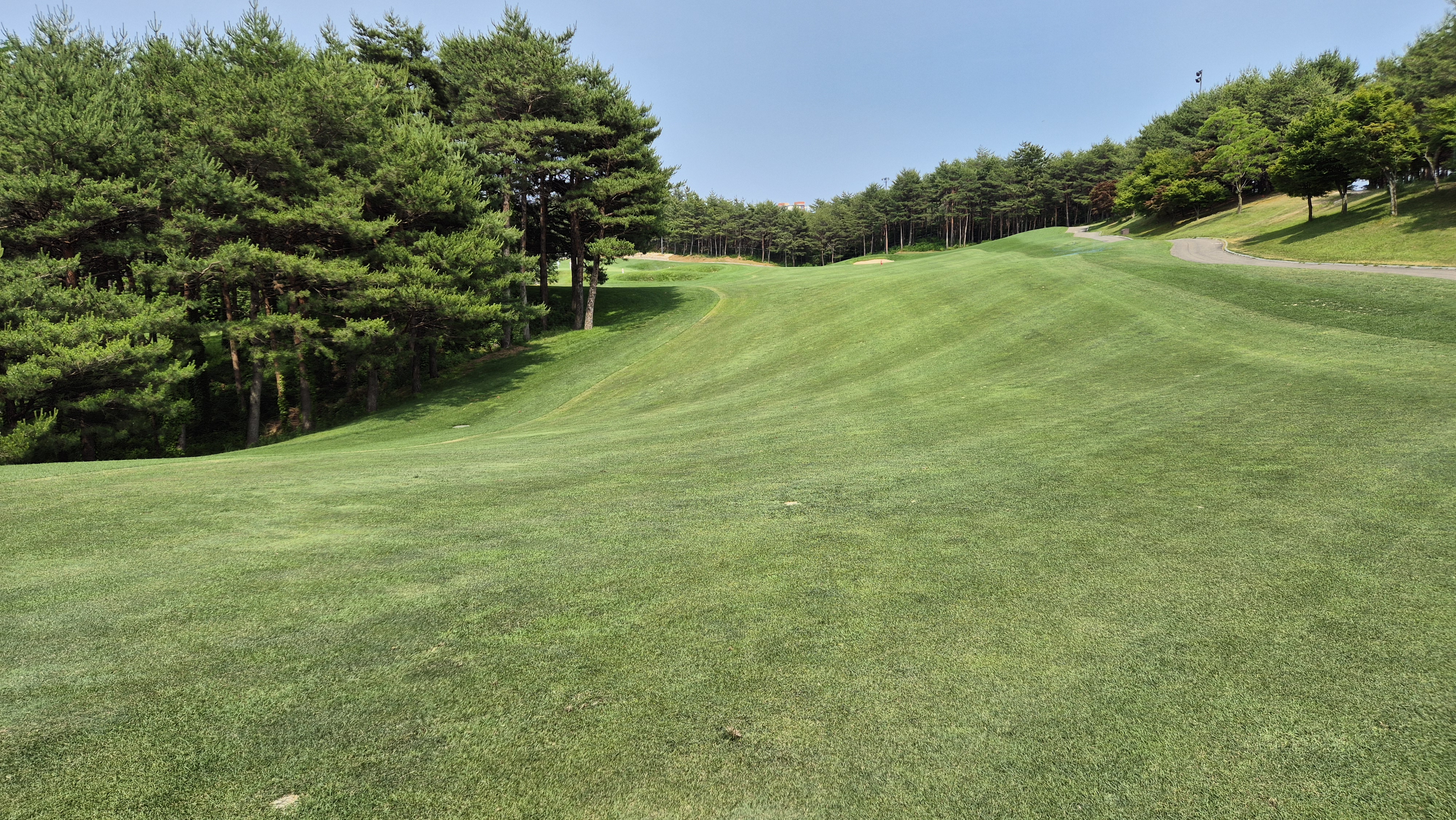 파인리즈cc 후기 및 코스사진