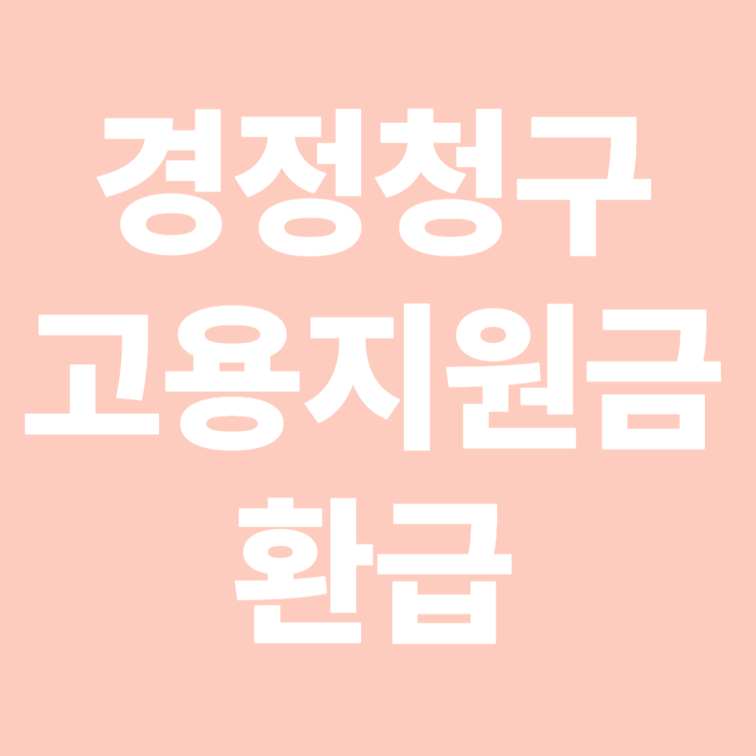 경정청구 고용지원금 환급