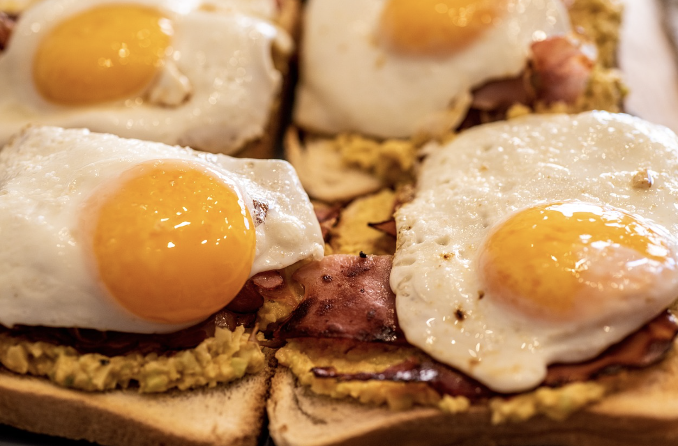 단백질 섭취가 중요한 이유와 올바른 섭취량