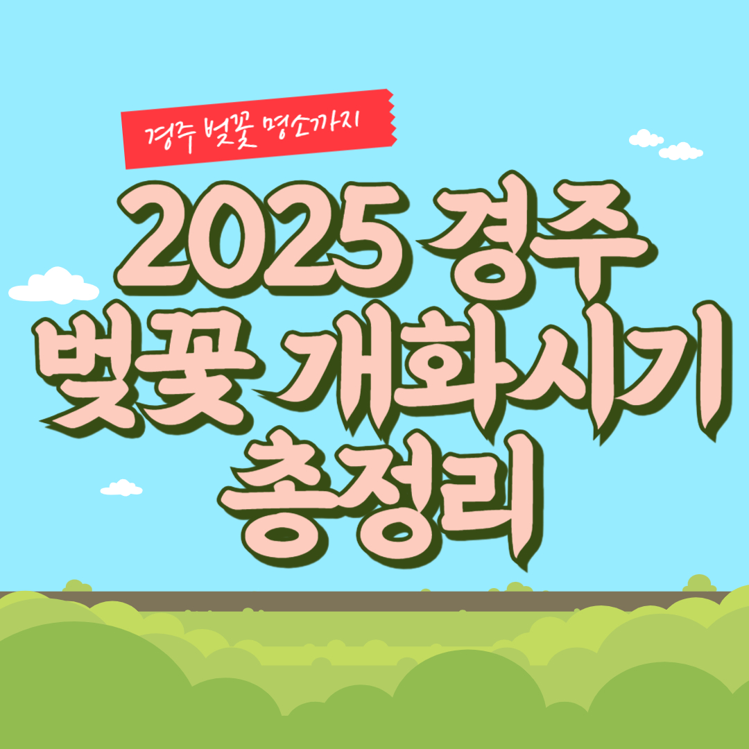 2025년 경주 벚꽃 개화 시기