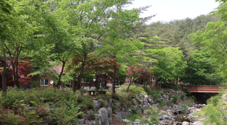 태백고원 자연휴양림