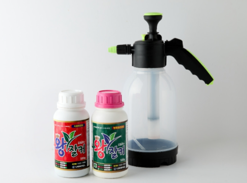 김일호 왕잘커 내돈내산