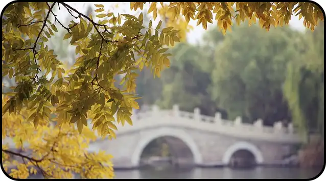 2024년 내장산 단풍절정시기