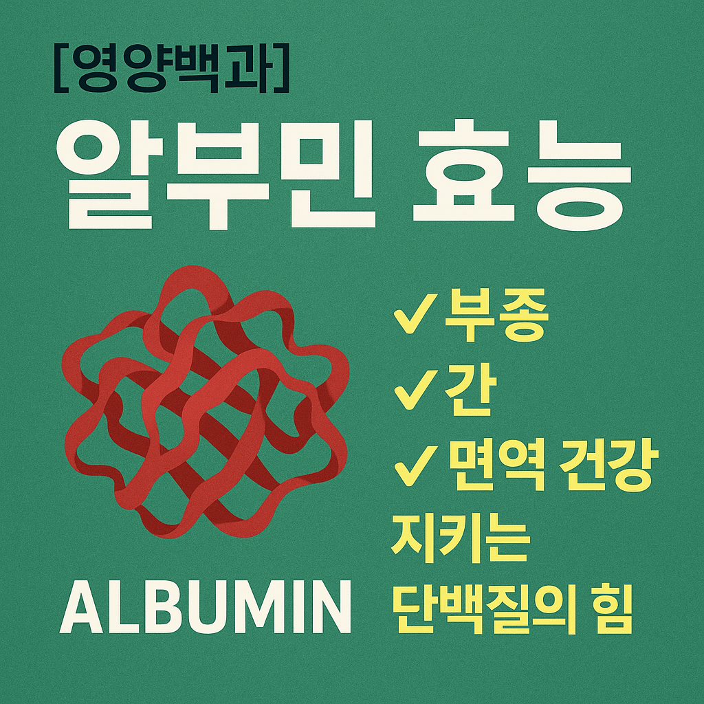 알부민의 효능