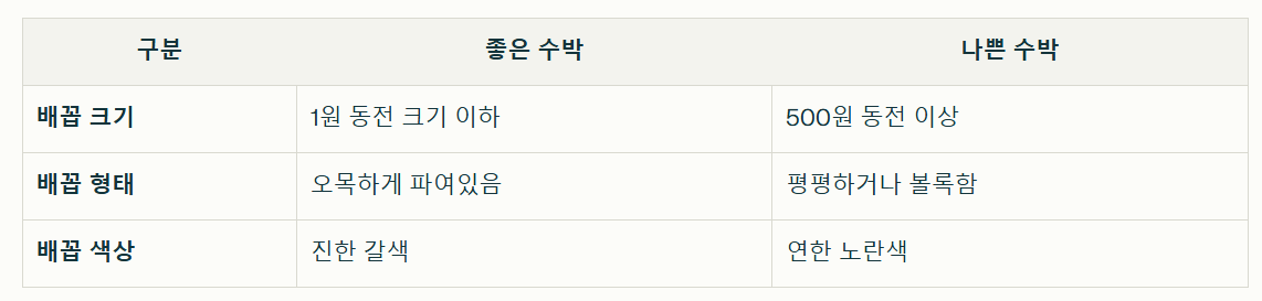 수박의 배꼽 분석 정리표