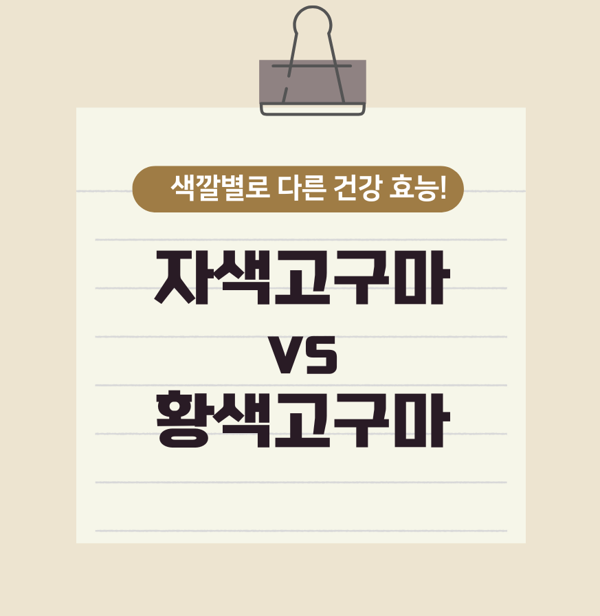 자색고구마 vs 황색고구마: 색깔별로 다른 건강 효능!