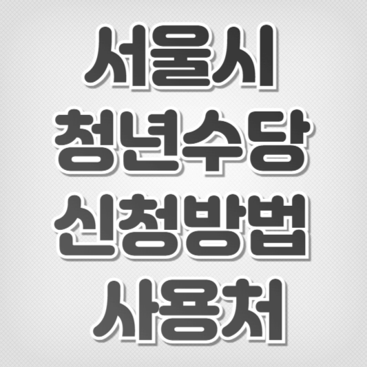 2024 서울시 청년수당-신청방법 사용처