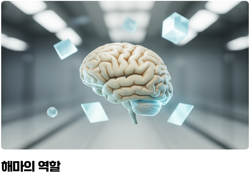 '배움'과 '기억'의 중심, 해마가 커진다