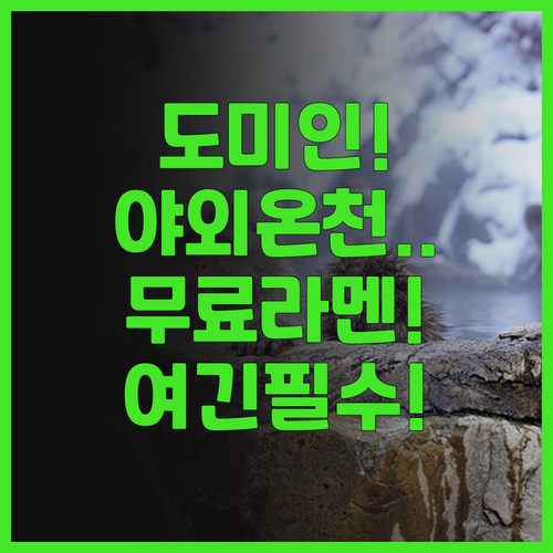 도미 인 아오모리 내추럴 핫 스프링 ..