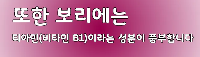  또한 보리에는 티아민(비타민 B1)이라는 성분이 풍부합니다