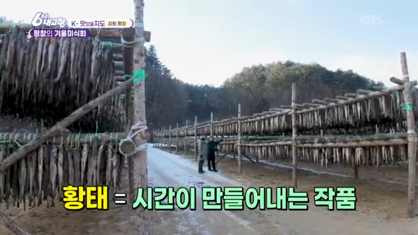 6시내고향 K맛있을지도(펑창 황태)