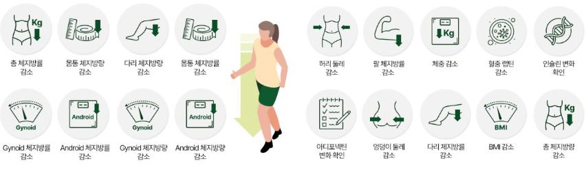 이소비텍신 효과