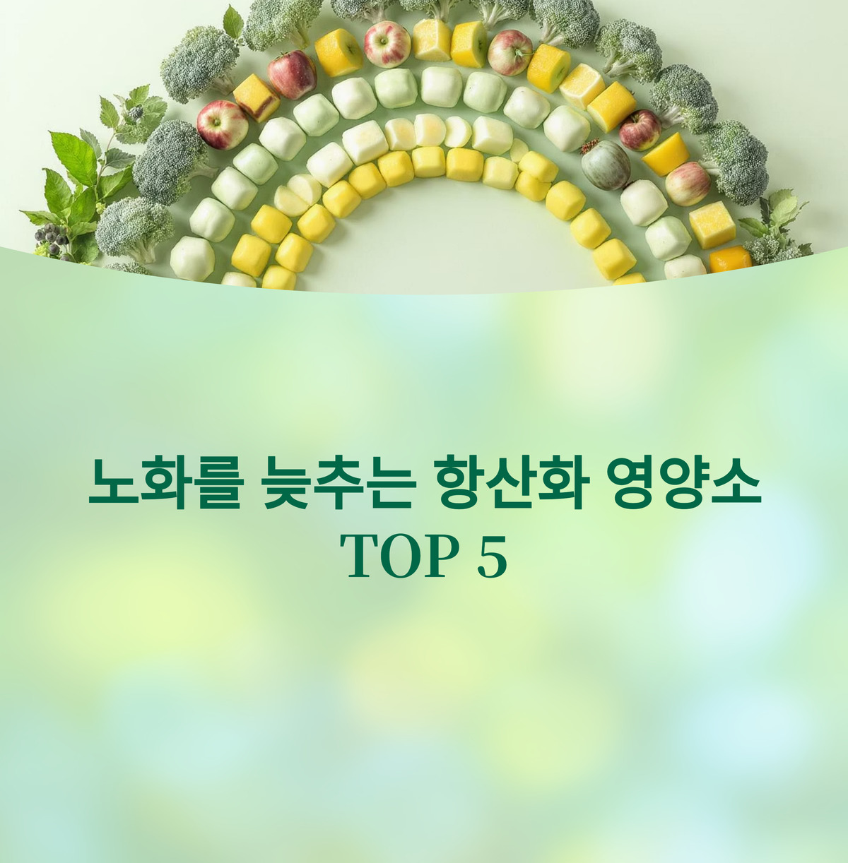 노화를 늦추는 항산화 영양소 TOP 5