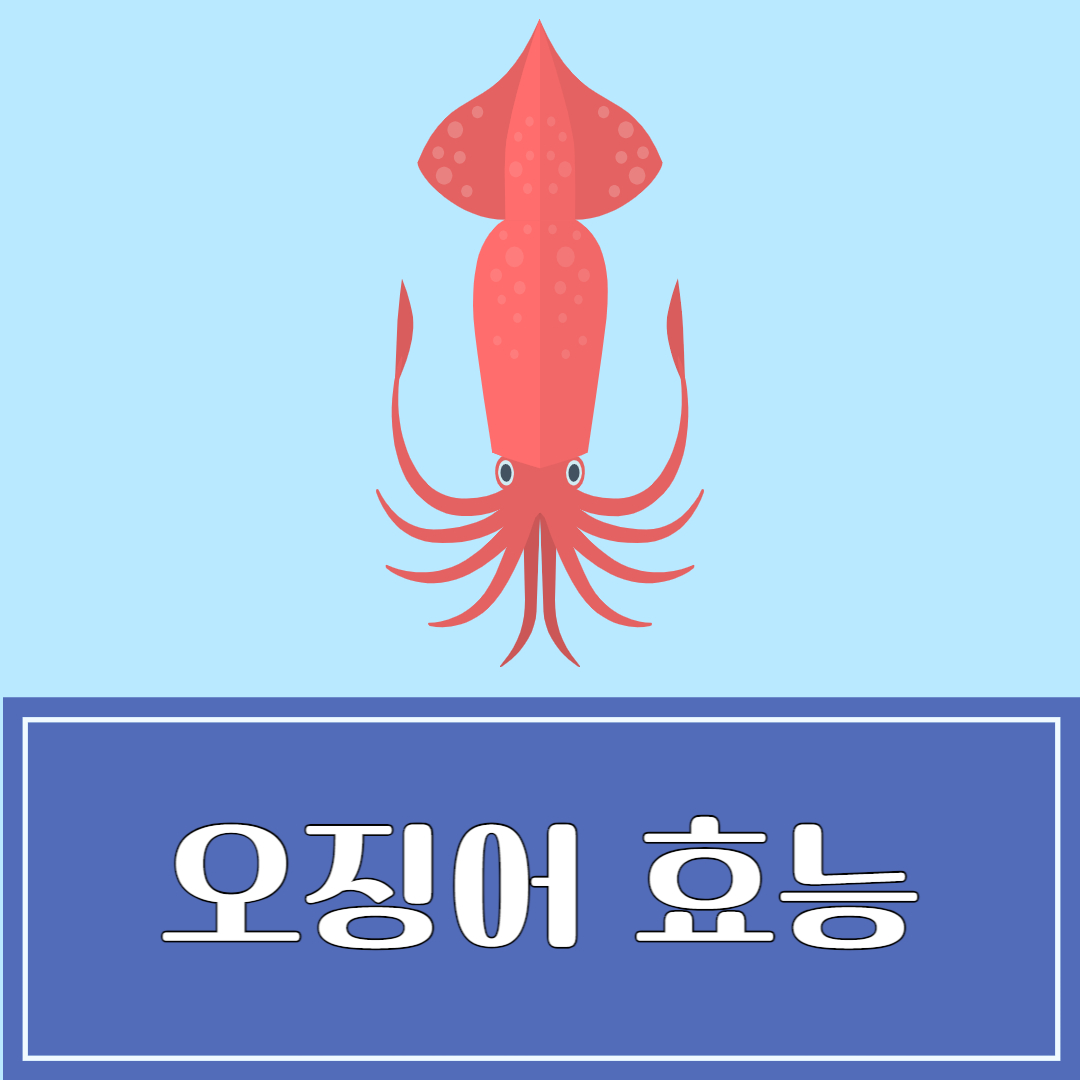 오징어 효능 및 부작용