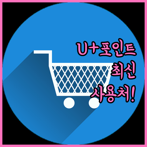 유플러스 포인트 사용처 및 유용한 소..