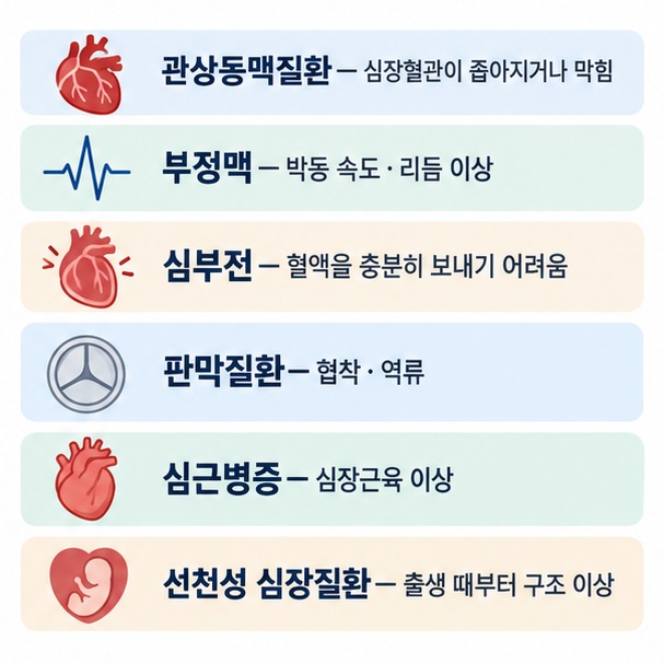 관상동맥질환 부정맥 심부전 심장판막질환 심근병증 선천성 심장질환의 주요 문제와 특징을 비교한 이미지