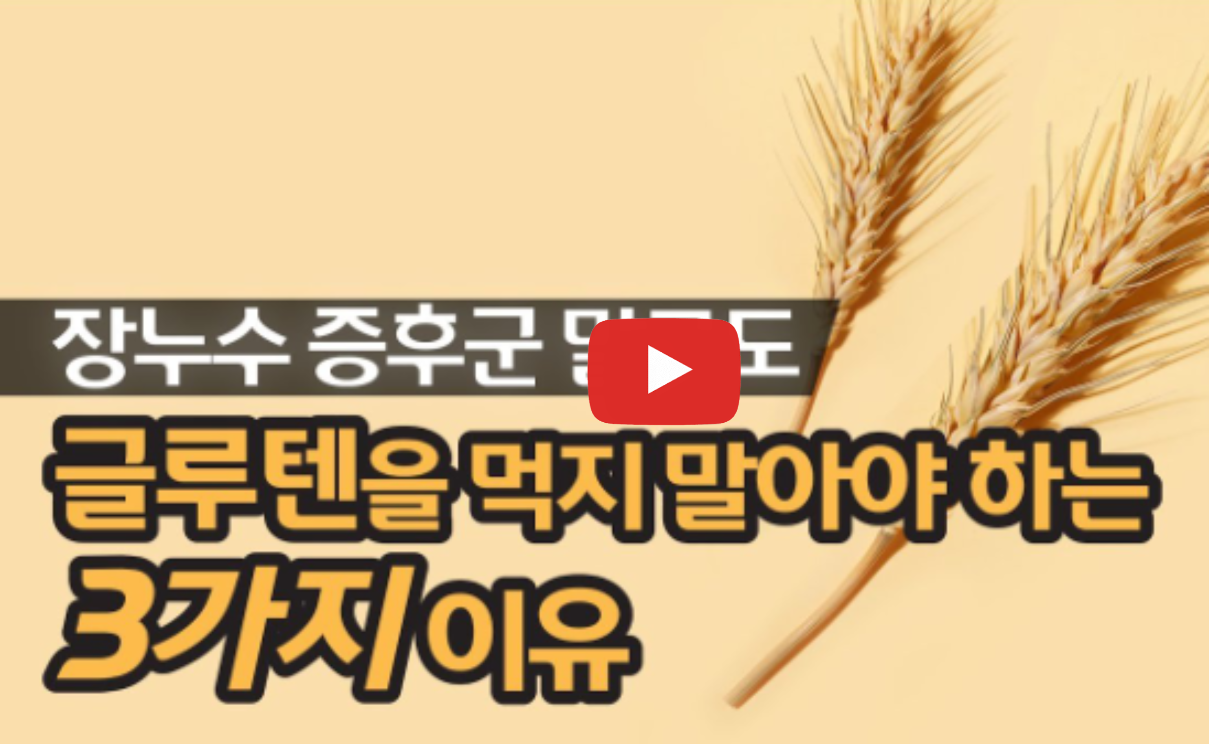 글루텐 부작용