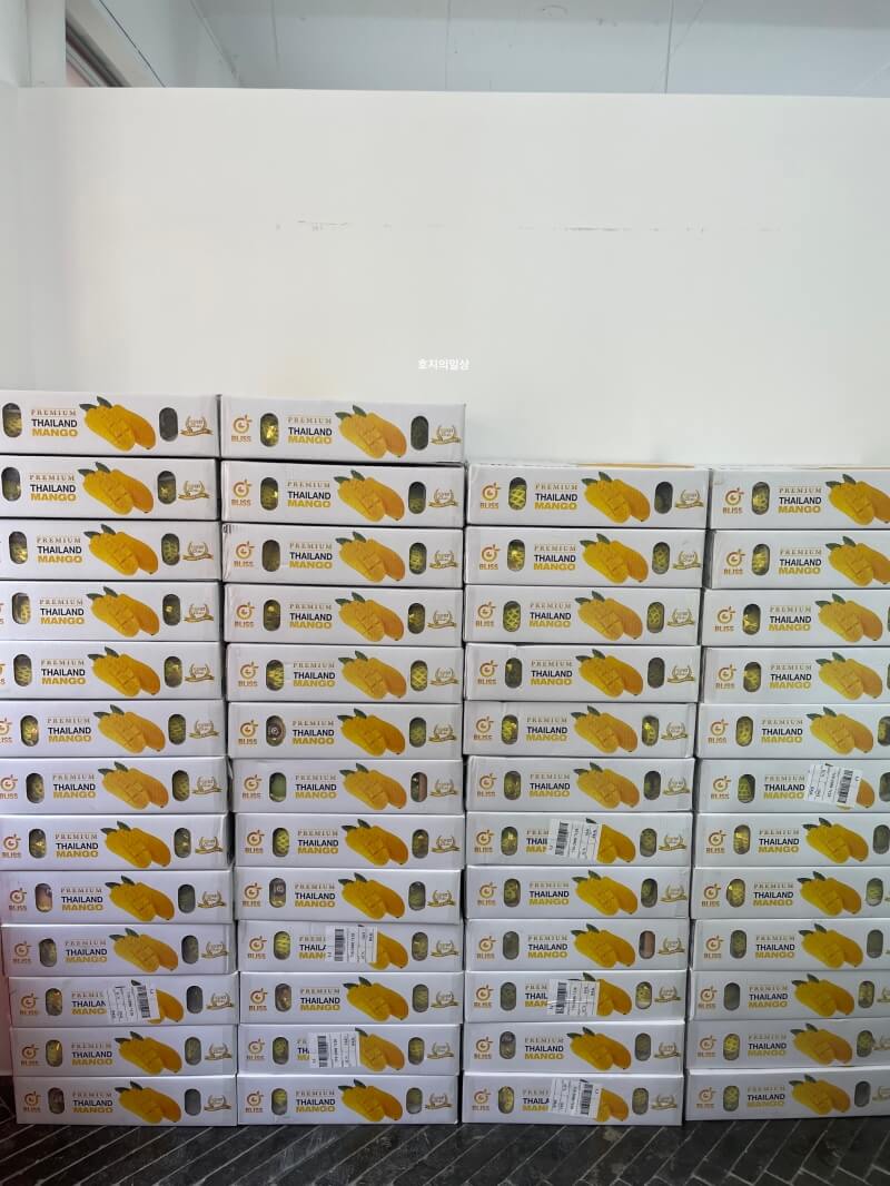 스트로베리32 연남동 망고 케이크 맛집 - 제철 망고