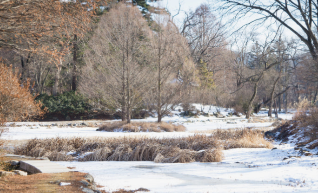 포천의 국립수목원
