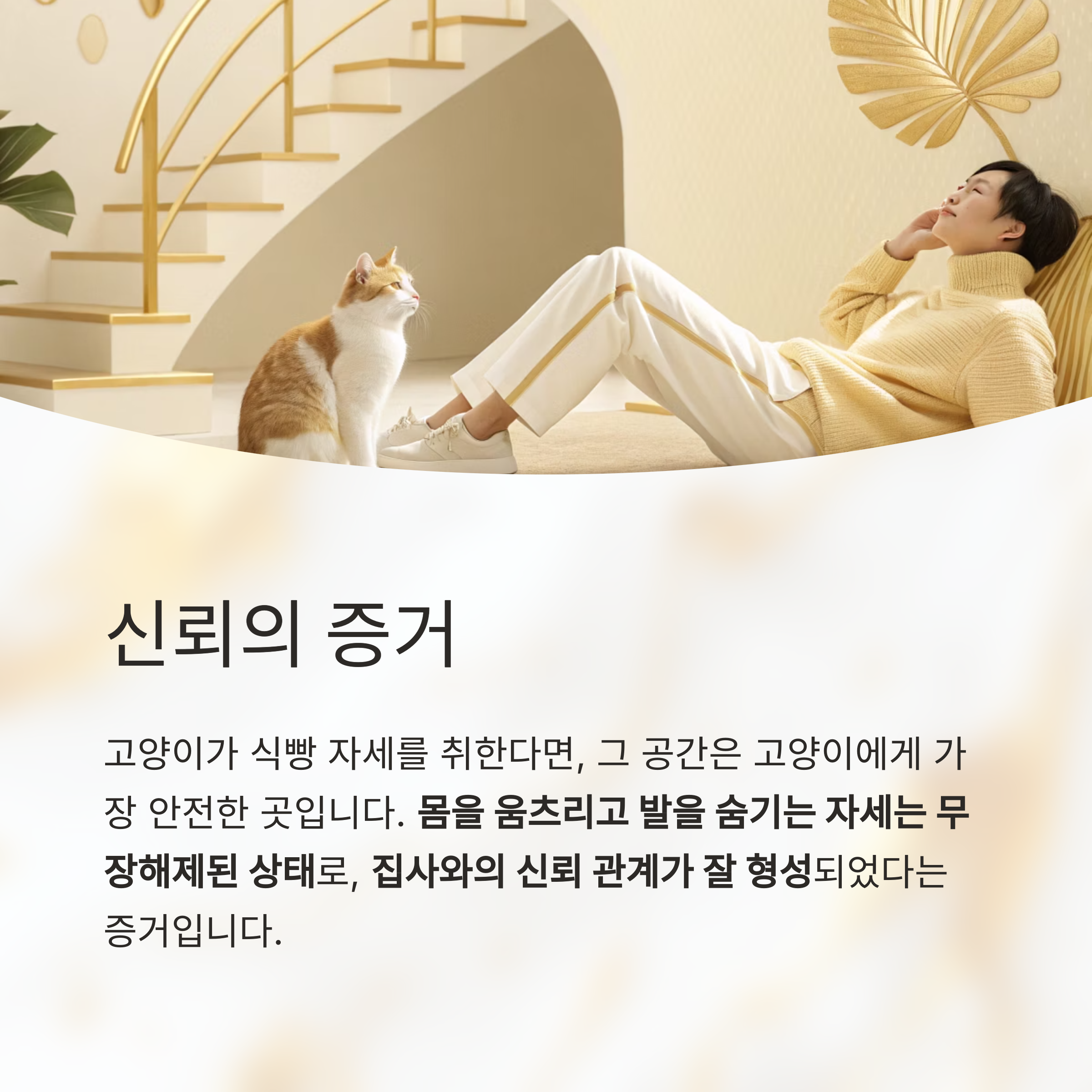 신뢰의 증거