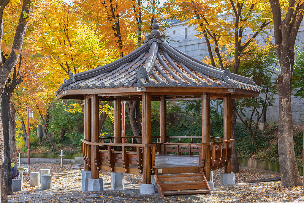 혜화문
성북동
한양도성길
백악구간
서울여행
서울단풍
가을단풍
단풍