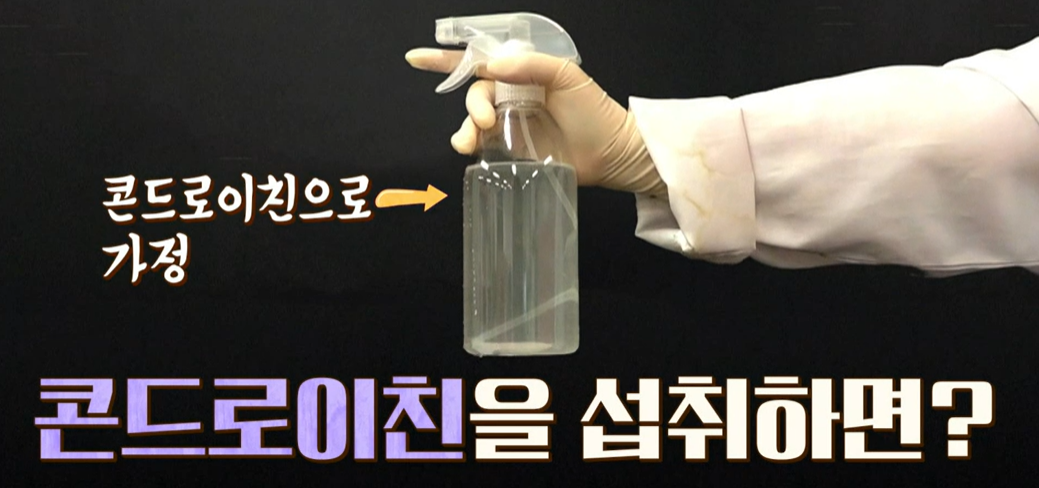 콘드로이친 효능