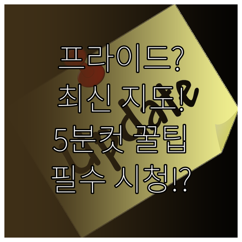 기아 프라이드 내비게이션 최신 지도 ..