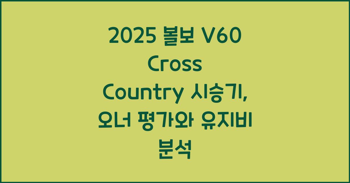 2025 볼보 V60 Cross Country 시승기 제원 연비 장단점 유지비 오너평가