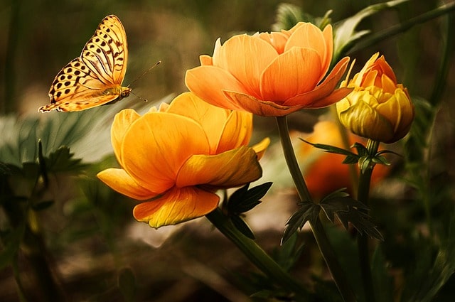 부모급여 신청 사진