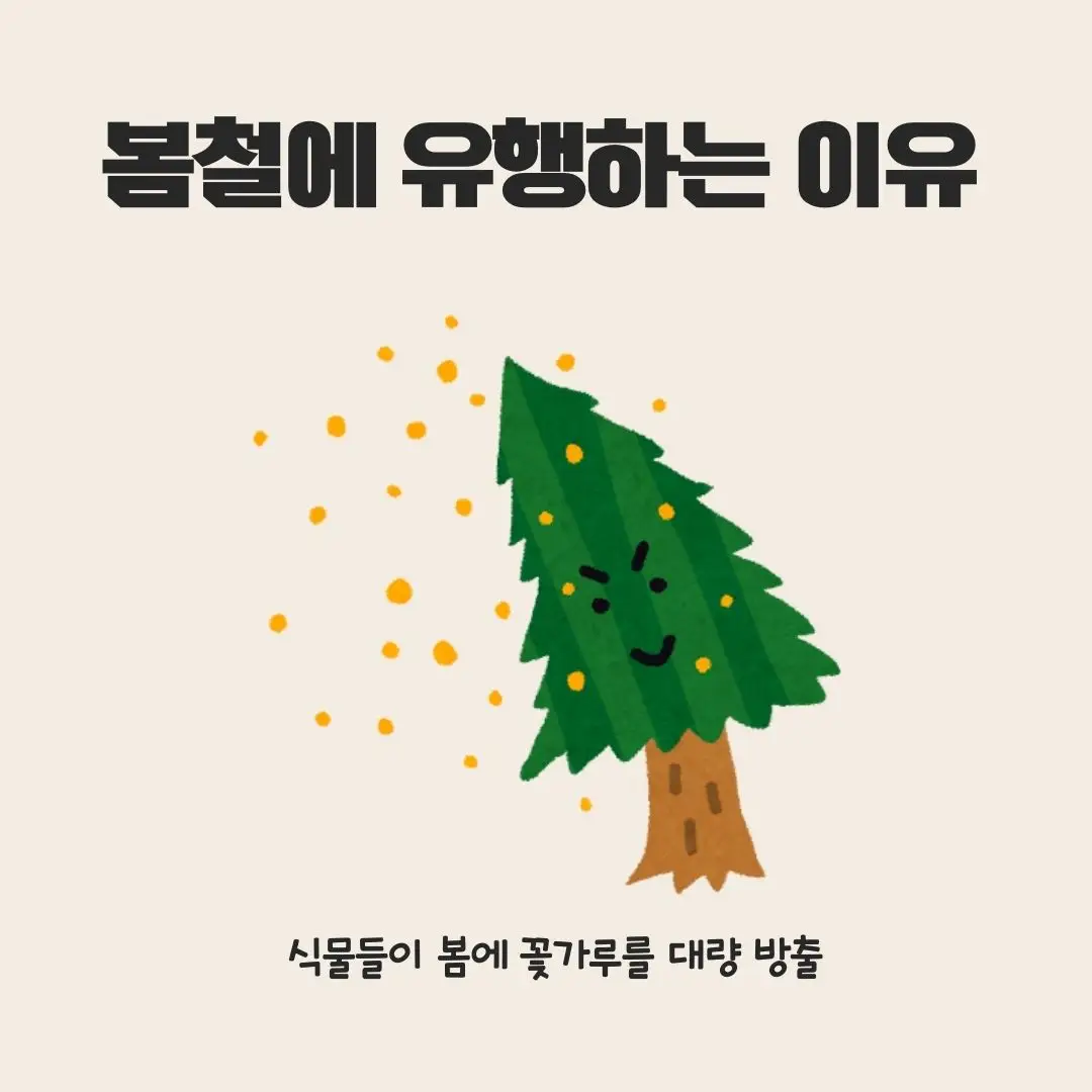 꽃가루 알레르기