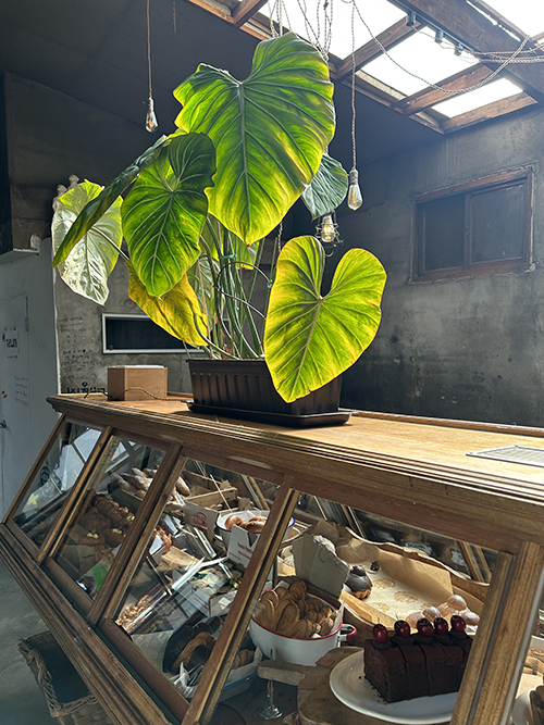 러스트-베이커리-빵진열대2