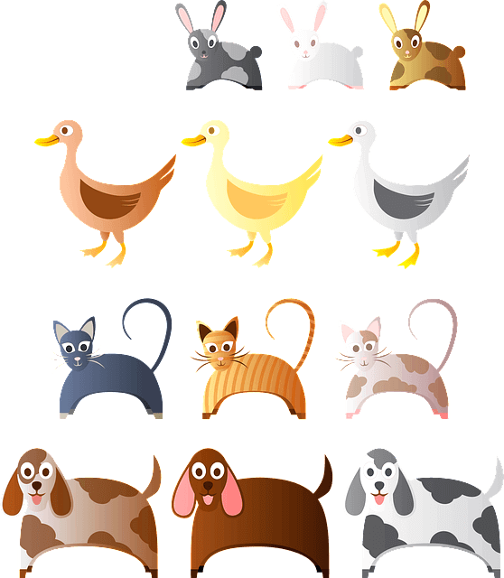 토기들 오리들, 고양이들, 개들 그림이 나란히 그려졌다.