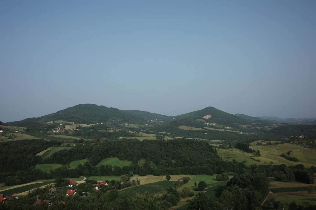 Arita