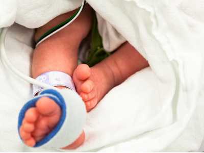 2025 새마을금고 아기뱀 적금 이자 계산 특판 적금 총정리