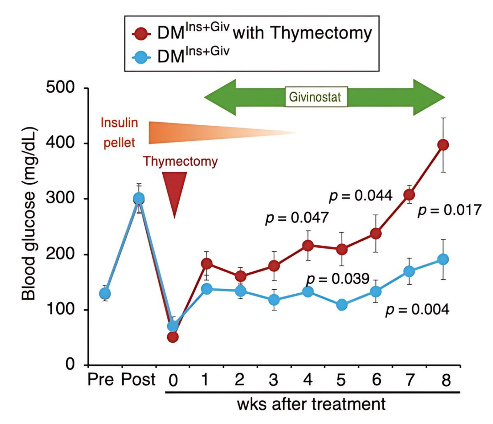 당뇨병 환자의 완전한 치유를 목표