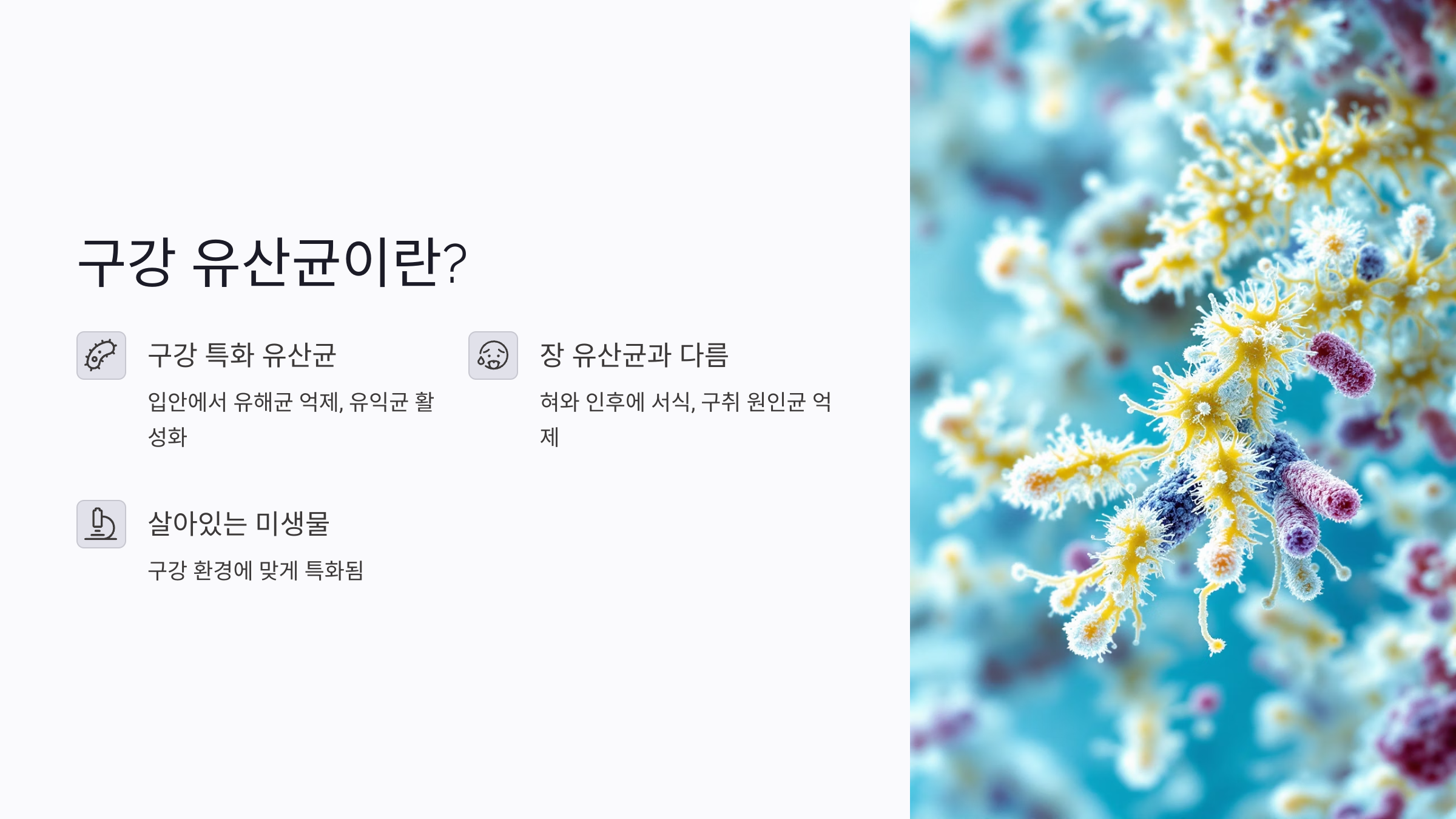 입 냄새의 정확한 원인과 유해균의 작용 방식