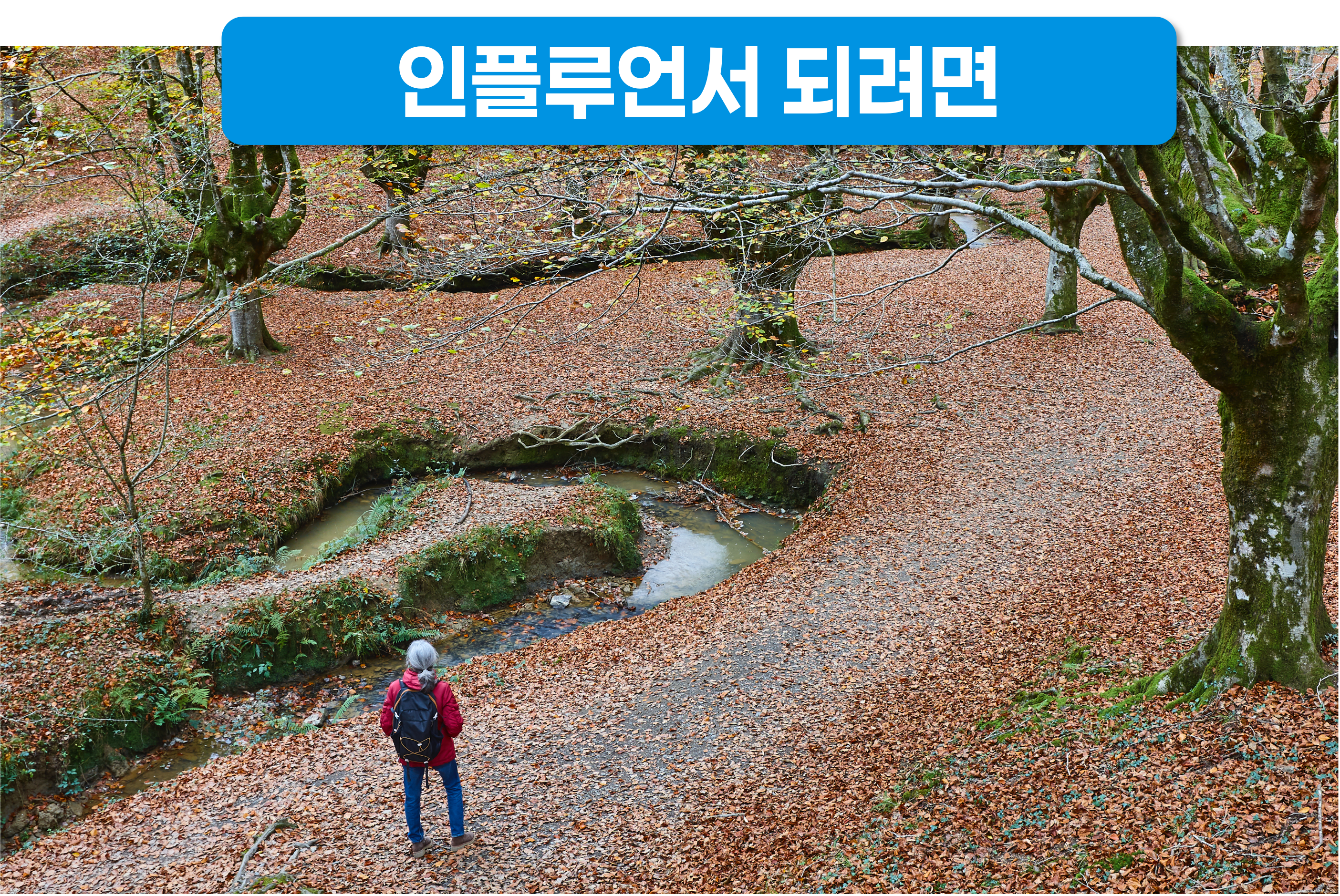 인스타그램 팔로워