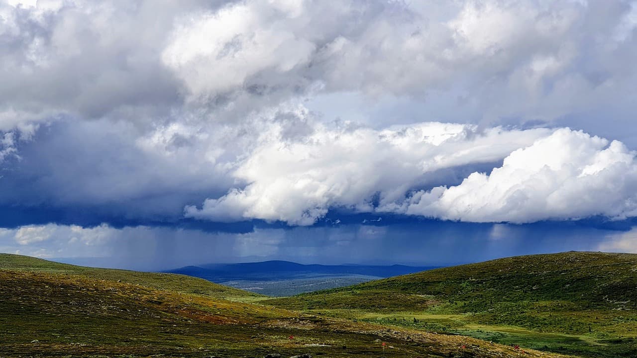 채무조정 완벽 가이드: 빚으로부터 벗어나는 현명한 방법