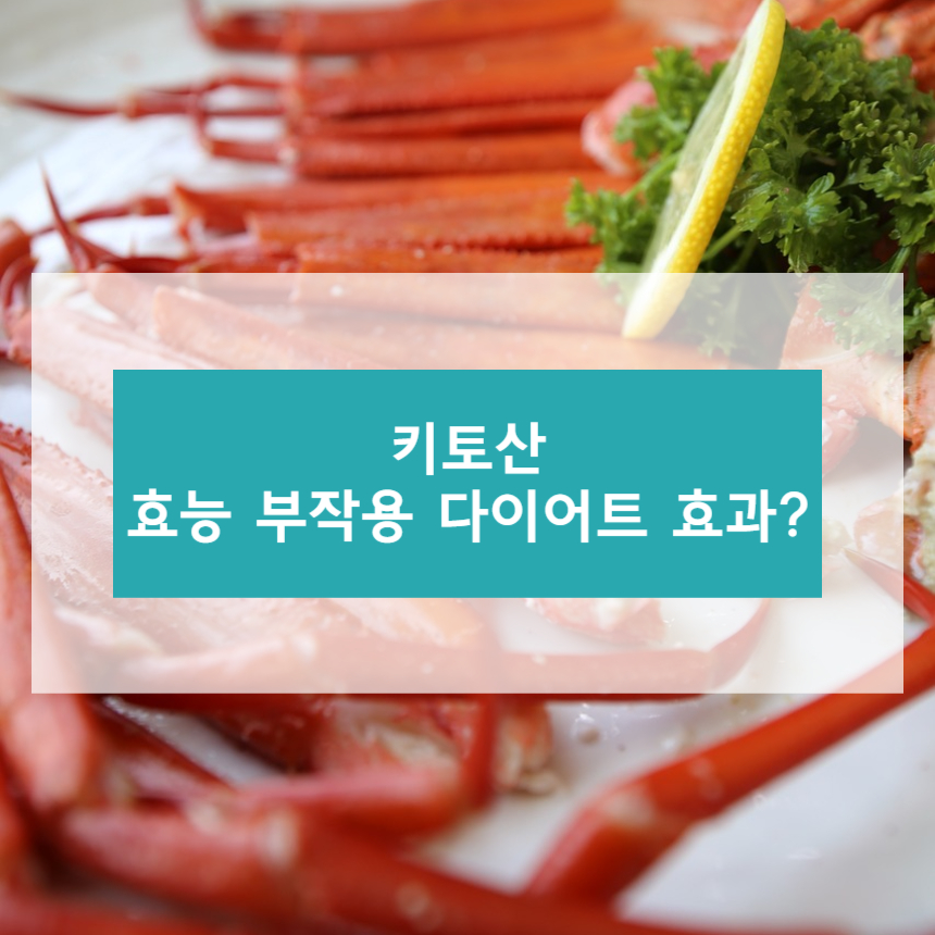키토산 효능 부작용 다이어트 효과?