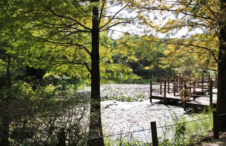 진주 수목원