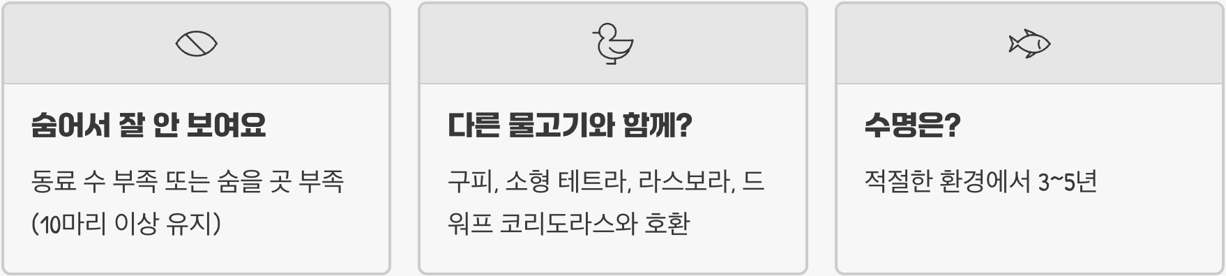 하스타투스 키우기 A to Z (어항, 먹이, 수질 관리)