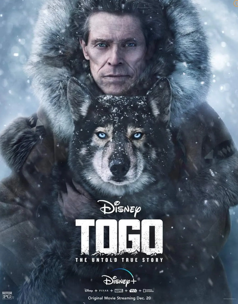 토고 (Togo, 2019) 포스터