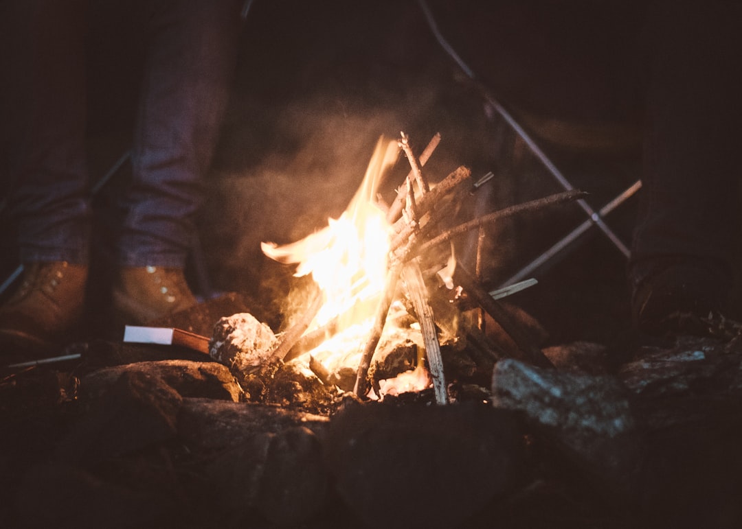 Firewood.