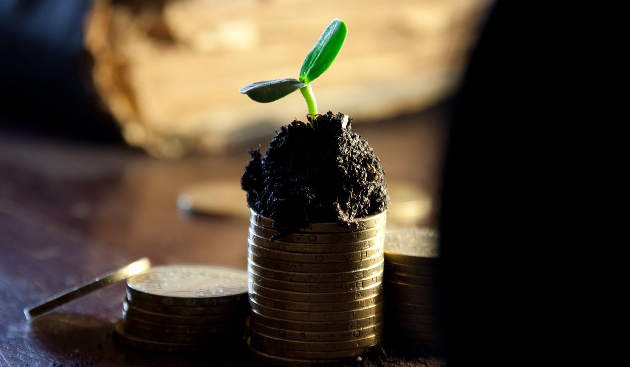 삼성전자 배당금